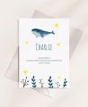 Indietro Ocean Whale Reminder