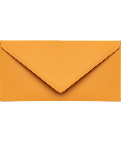 American Snow White DL Envelope | Marmarina