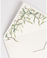 Olive Lined Envelopes | Marmarina