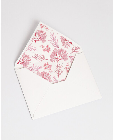 Envelopes with Coral Reef Lining | Marmarina