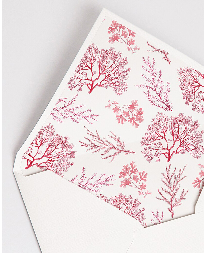 Envelopes with Coral Reef Lining | Marmarina Envelopes with Coral Reef Lining | Marmarina