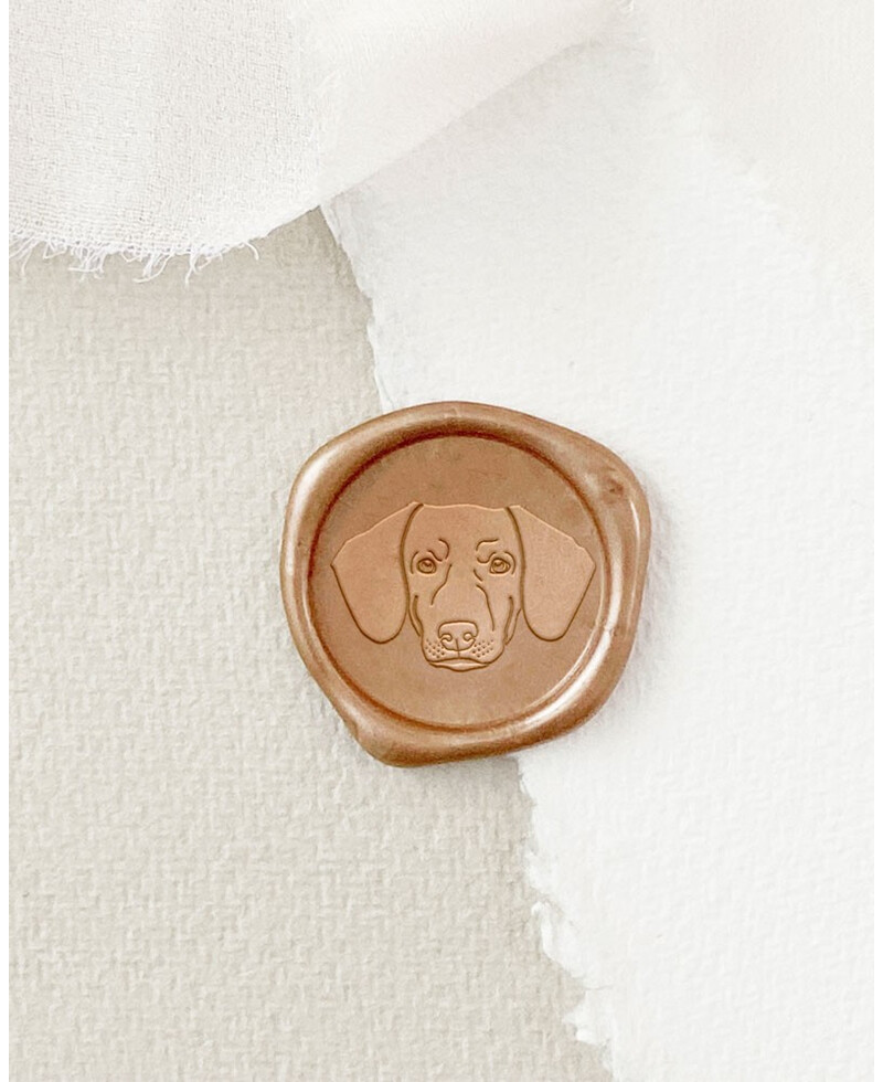 Selo Dachshund Selo Dachshund