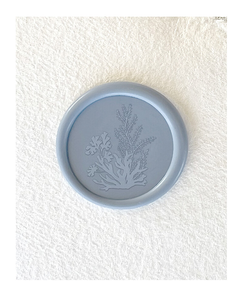 Palloni adesivi per barriera corallina Palloni adesivi per barriera corallina