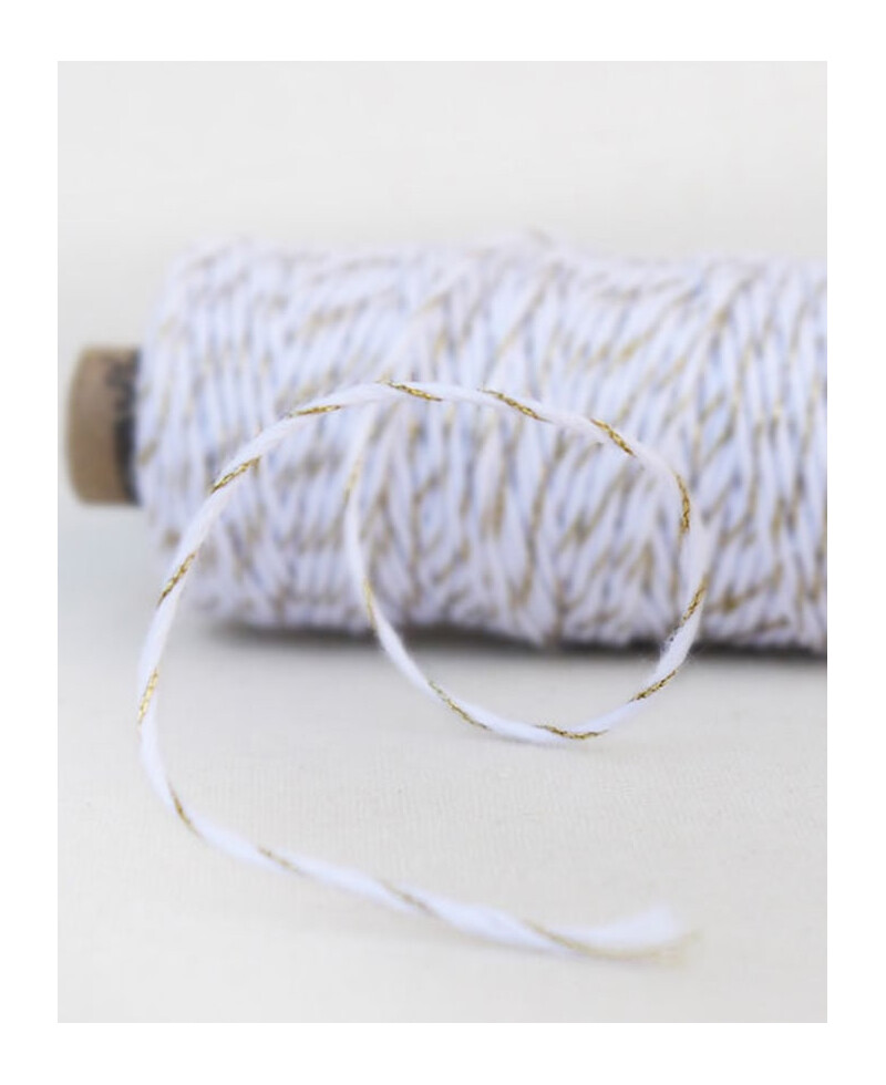 Corda em ouro branco Corda em ouro branco