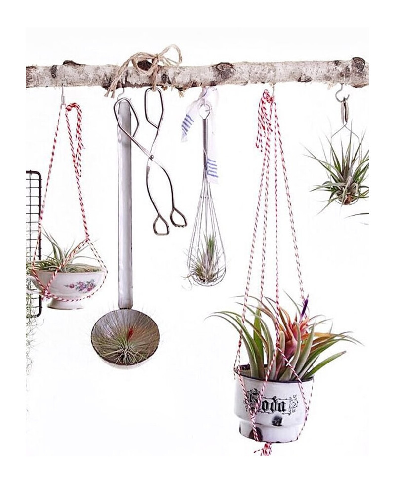 Red and white colored ropes for decoration Red and white colored ropes for decoration