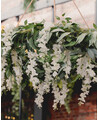 Garland of leaves hanging from ceiling