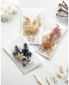 Ensemble de fleurs dans les tons de sable, bleu et rose