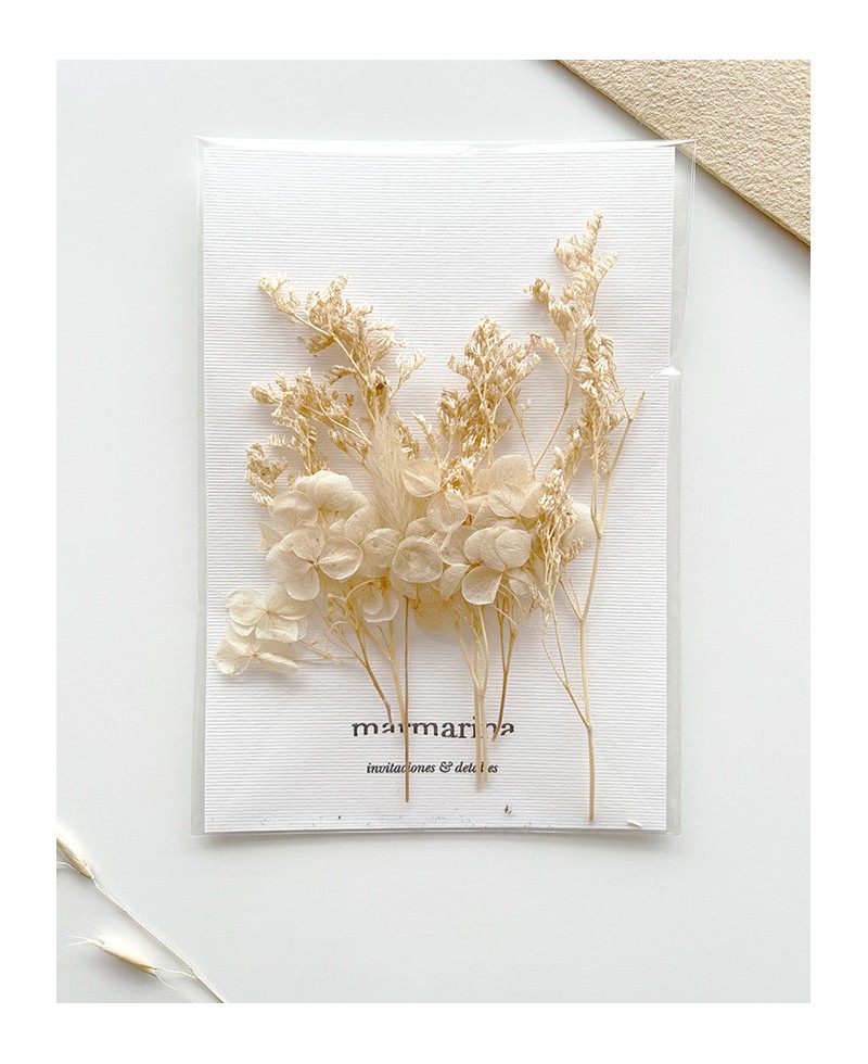 Selezione di fiori secchi nei toni del beige sabbia Selezione di fiori secchi nei toni del beige sabbia