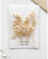 Selezione di fiori secchi nei toni del beige sabbia