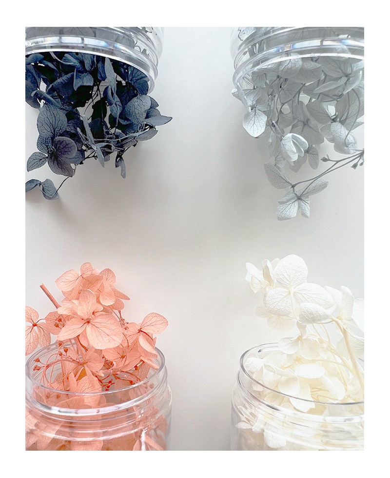 Gamme chromatique des fleurs séchées Gamme chromatique des fleurs séchées