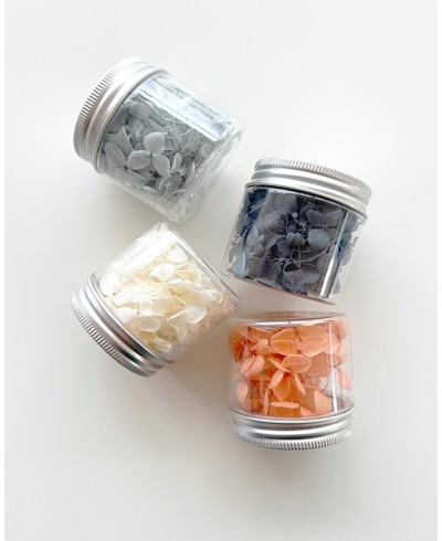 Sprigs of preserved flowers chromatic range