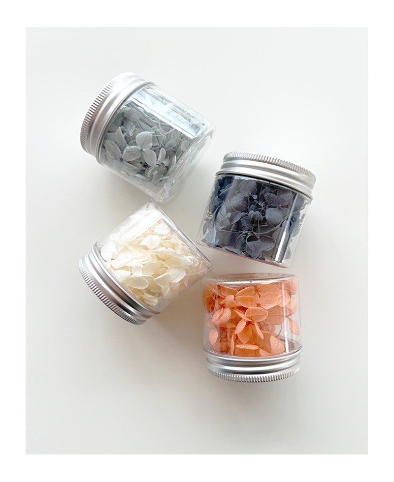 Sprigs of preserved flowers chromatic range Sprigs of preserved flowers chromatic range