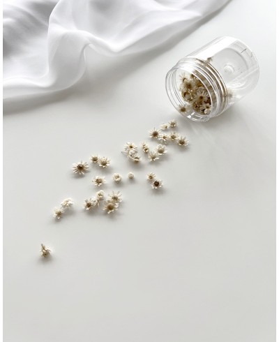 Jar of dried flowers for decoration