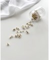 Jar of dried flowers for decoration