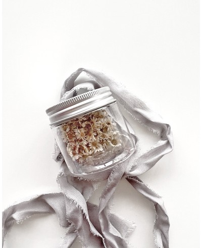 Margaritas preserved as decoration