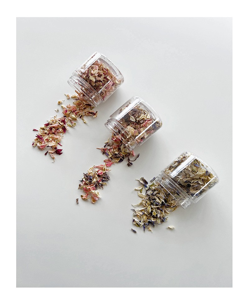 Fleurs écrasées pour décorer la papeterie Fleurs écrasées pour décorer la papeterie