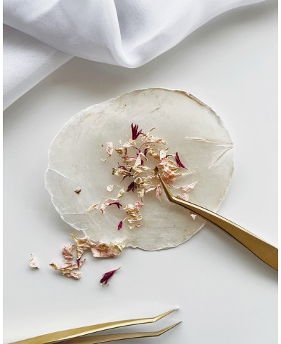 Flores esmagadas em tom rosa para decorar artigos de papelaria