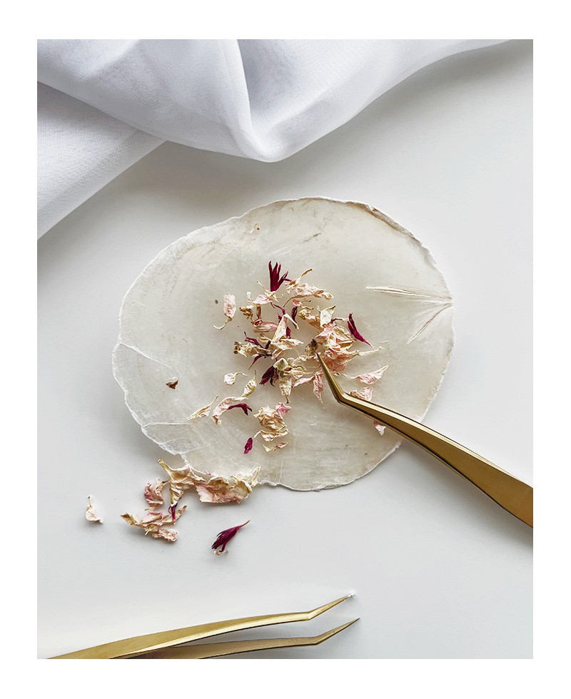 Fleurs écrasées dans des tons roses pour décorer la papeterie Fleurs écrasées dans des tons roses pour décorer la papeterie