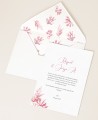 Marine collection coral reef invitation