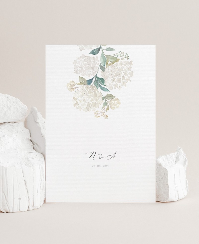 Hortensias blancs à invitation verticale Hortensias blancs à invitation verticale