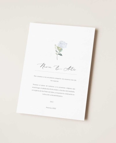 Articoli di cancelleria per collezioni botaniche per matrimoni