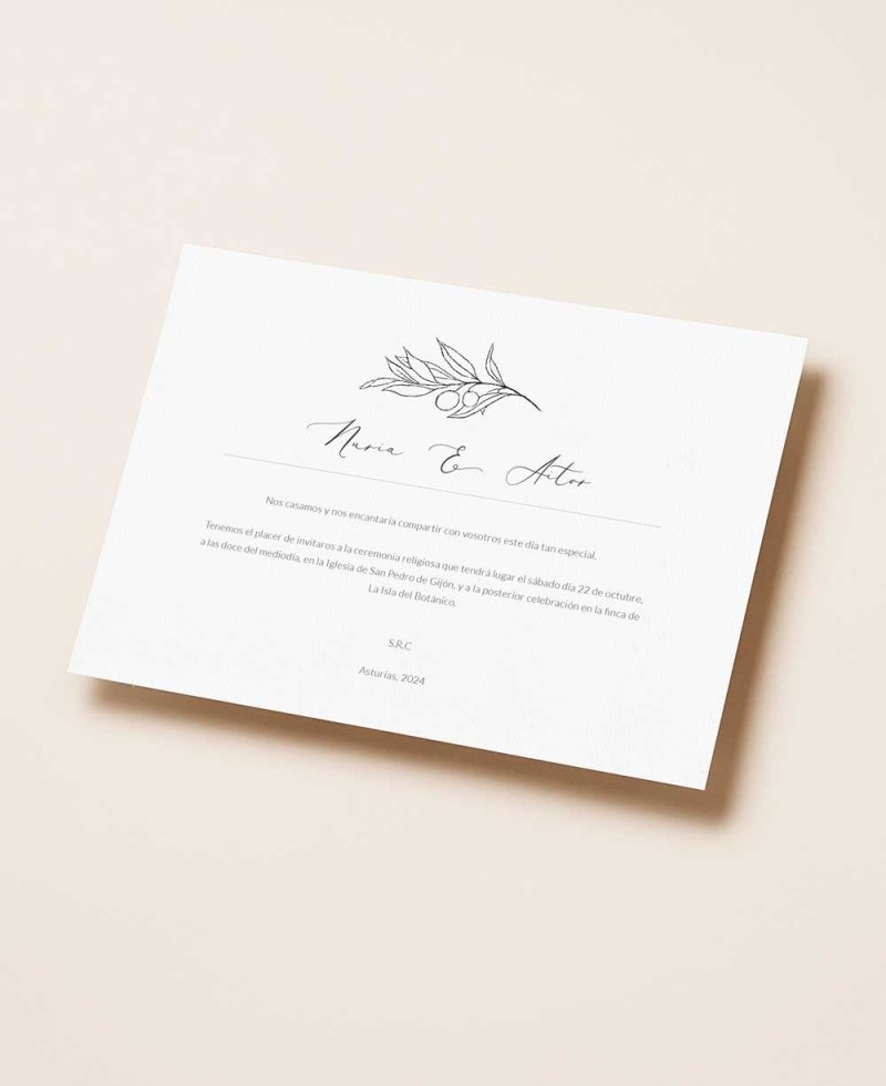 Oliven- und Orangenblüten-Hochzeitspapeterie Oliven- und Orangenblüten-Hochzeitspapeterie