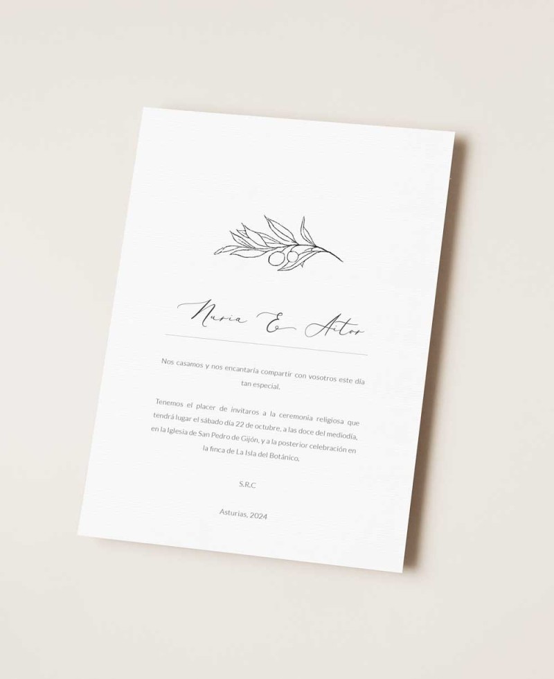 Bella ed elegante cancelleria per matrimoni