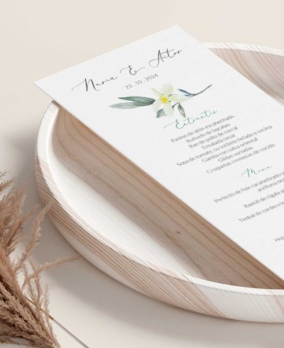 Minuteria cartacea da collezione botanica