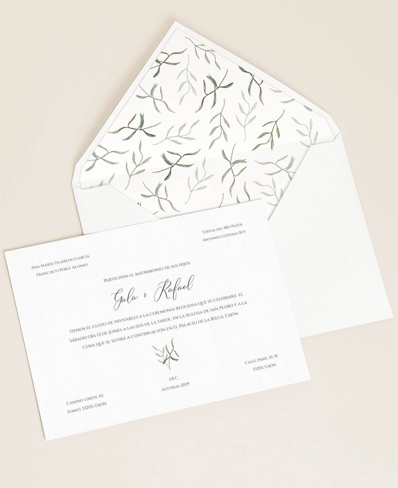 Elegant and beautiful olive tree wedding invitations Elegant and beautiful olive tree wedding invitations
