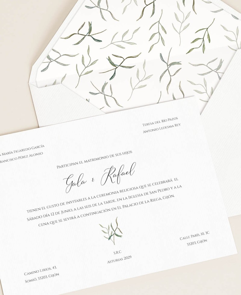 Papelaria de casamento estilo azeitona clássico Papelaria de casamento estilo azeitona clássico