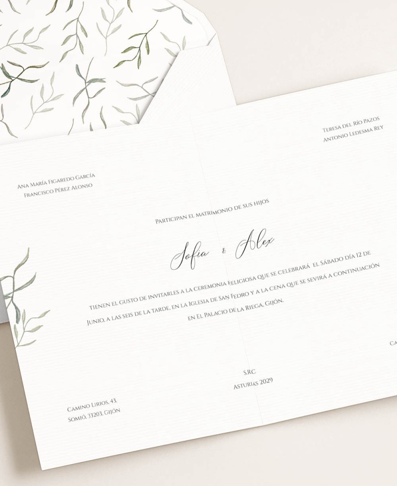 Papelería para bodas tradicional botánica olivo Papelería para bodas tradicional botánica olivo