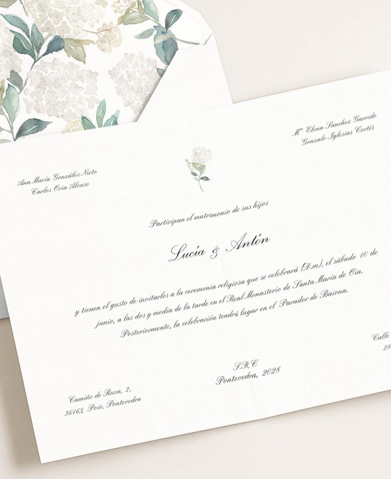 Ortensie di cancelleria da sposa tradizionali e classiche Ortensie di cancelleria da sposa tradizionali e classiche