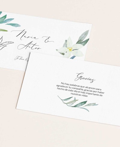 Elegante Cartolina di Conferma Collezione Botanica