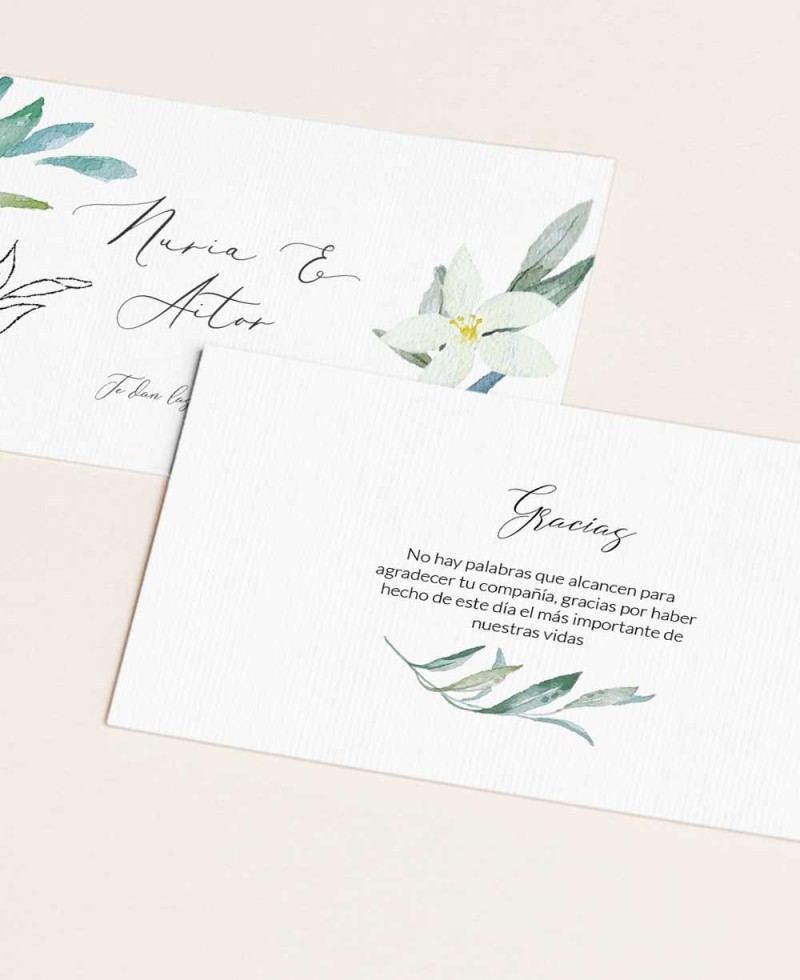 Elegante Cartolina di Conferma Collezione Botanica