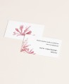 Contatto web card per matrimoni collezione marinara
