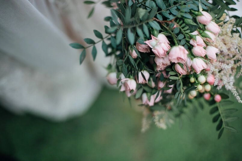 Mejores proveedores Marmarina-Kiwo